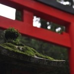 箱根神社 （九頭竜神社）ご利益 縁結び