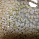 発芽玄米の作り方。簡単で市販のものよりも安心